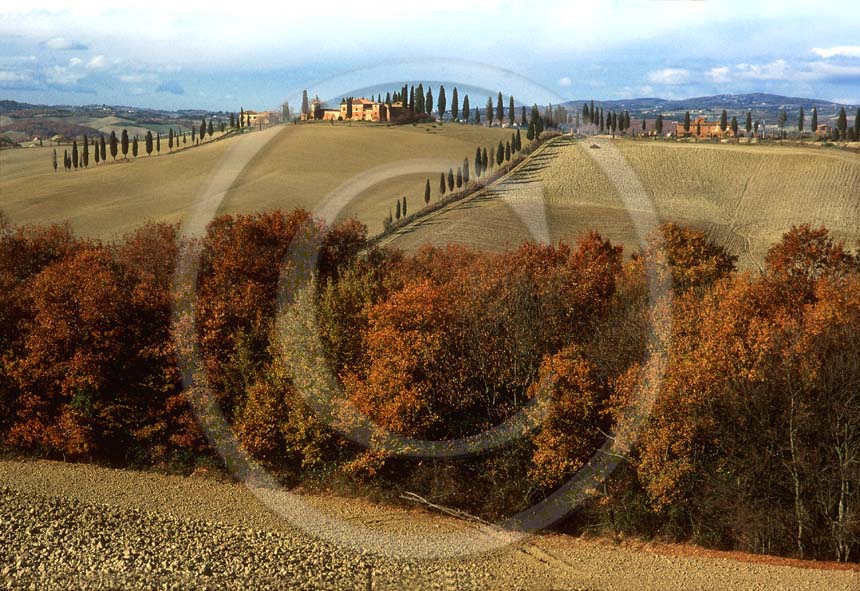 1992 - Landscapes of Crete senesi in autumn, near Mucigliani place, Crete land, 5 miles south the province of Siena.