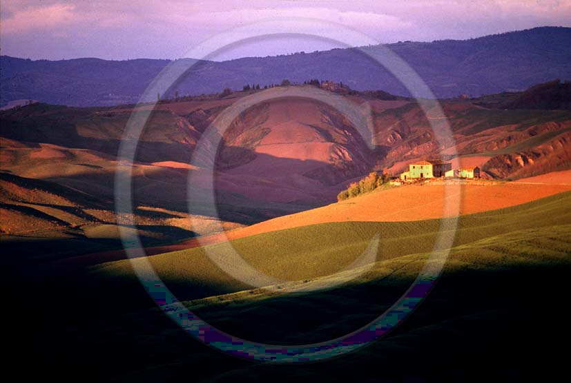 1988 - Landscapes of Crete senesi in autumn on sunset, Muciglaini place, Crete land, 6 miles south the province of Siena.