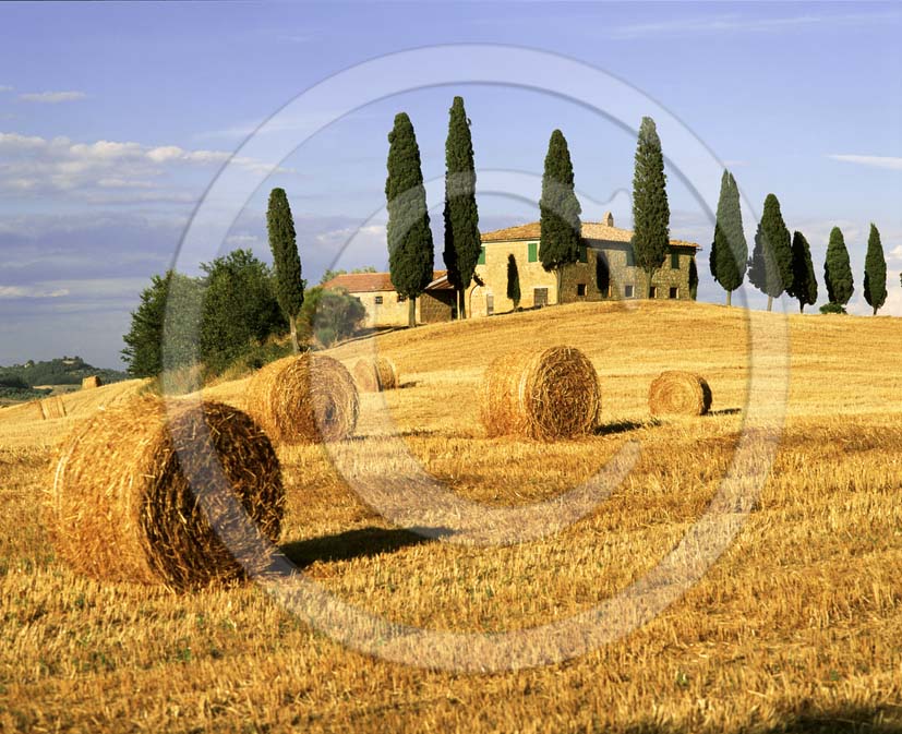 2002 - Landscapes of farm in a field of rolls bead in summer, near Pienza village, Orcia valley, 20 miles south the province of Siena.