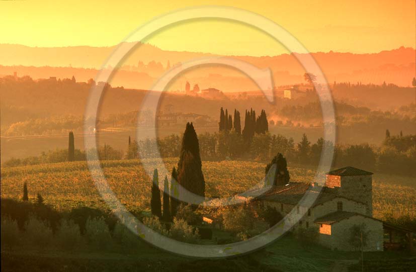 2003 - Landscapes of farm and vineyards on early morning in autumn, near Monti village, Chianti land, 26 miles south the province of Florence.