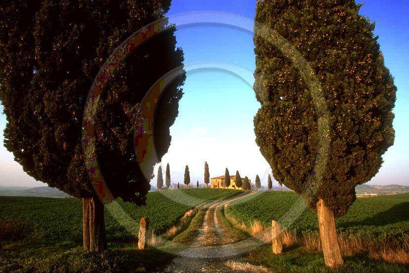 2001 - Landscapes of cipress and farm in spring, near Pienza village, Orcia valley, 20 miles south the province of Siena.