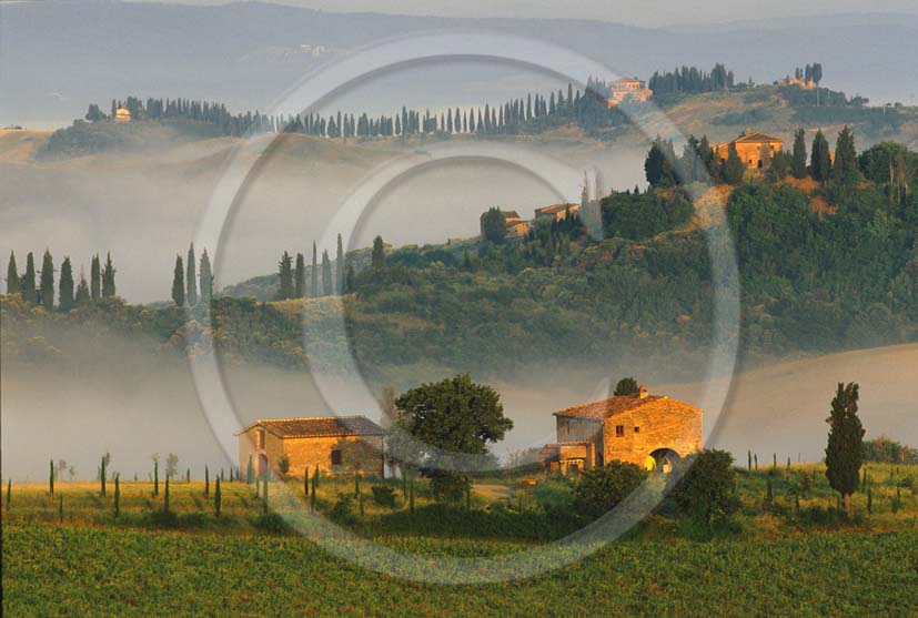 2001 - Landscapes of farm and cipress line with fog on sunrise in spring, Montemori place, Arbia valley, near Asciano village, 17 miles south the province of Siena.