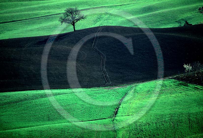 1999 - Landscapes of Crete sensei in autumn, Crete land, 10 miles south the province of Siena.