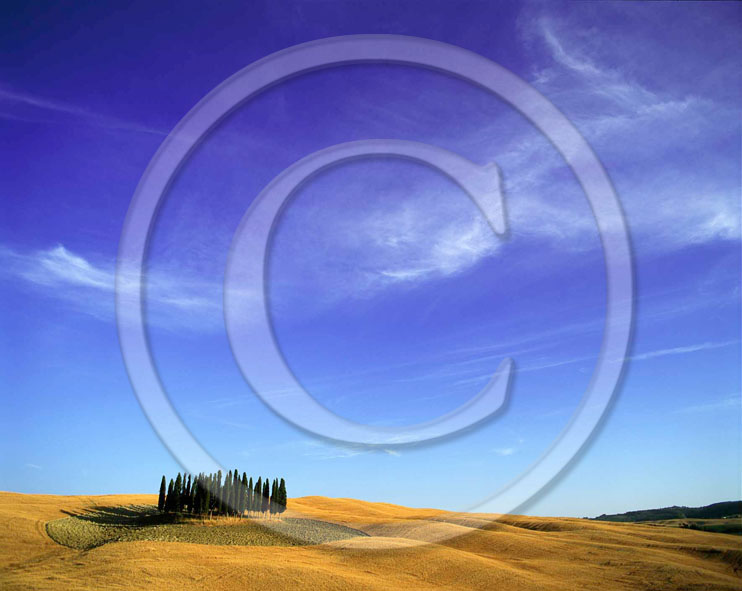2002 - Landscapes of cipress and field of bead in summer, near S.Quirico village, Orcia valley, 18 miles south province of Siena.