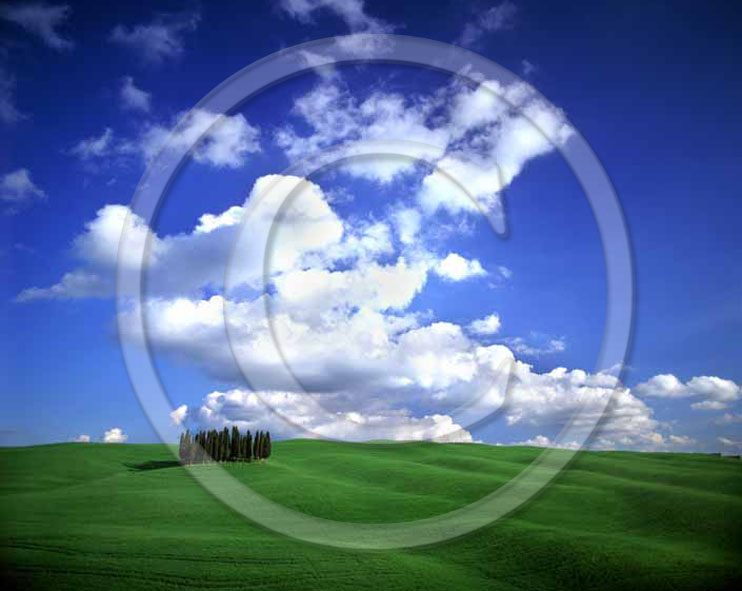 2000 - Landscapes of farm and cipress with field of bead in spring, near Orcia village, 16 miles south province of Siena.