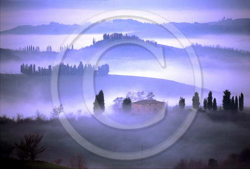 2000 - Landscapes of farm and cipress with fog in winter, Montemori place, near Asciano village, Cret land, 20 miles south the province of Siena.