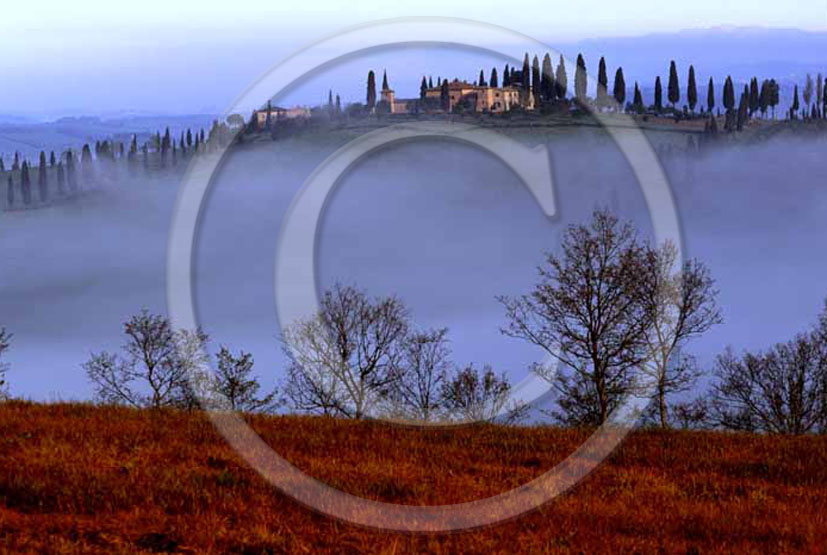 2004 - Landscapes of farm and cipress line with fog in winter, Mucigliani place, near Asciano village, 8 miles south province of Siena.