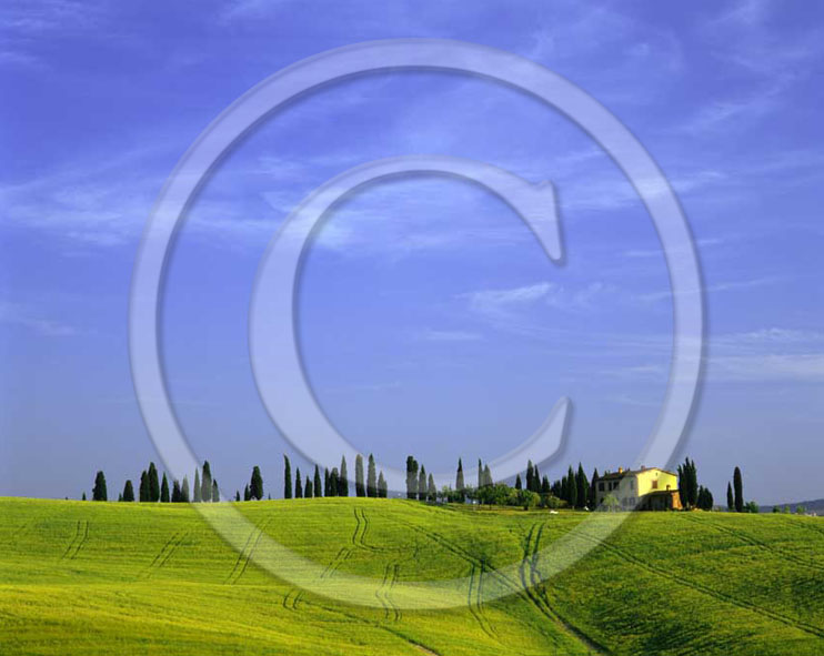 2004 - Landscapes of farm and cipress line in spring, near Isola village, Arbia valley, 9 miles south province of Siena.