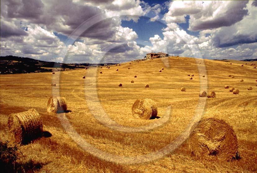 1987 - Landscapes of farm in field of rolls bead in summer, near Gallina village, Orcia valley, 30 miles south the province of Siena.