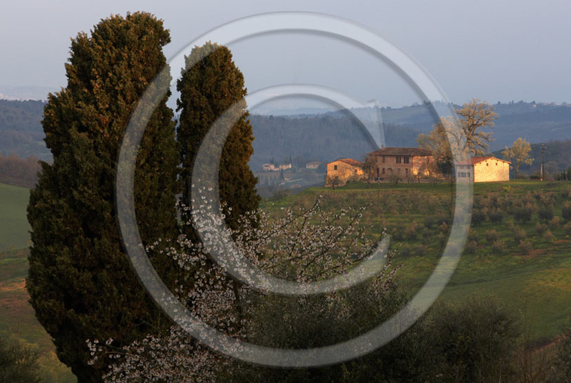 2005 - Landscapes of farm and cipress in spring, near Colombaio place, Chianti land, 6 miles south province of Siena.