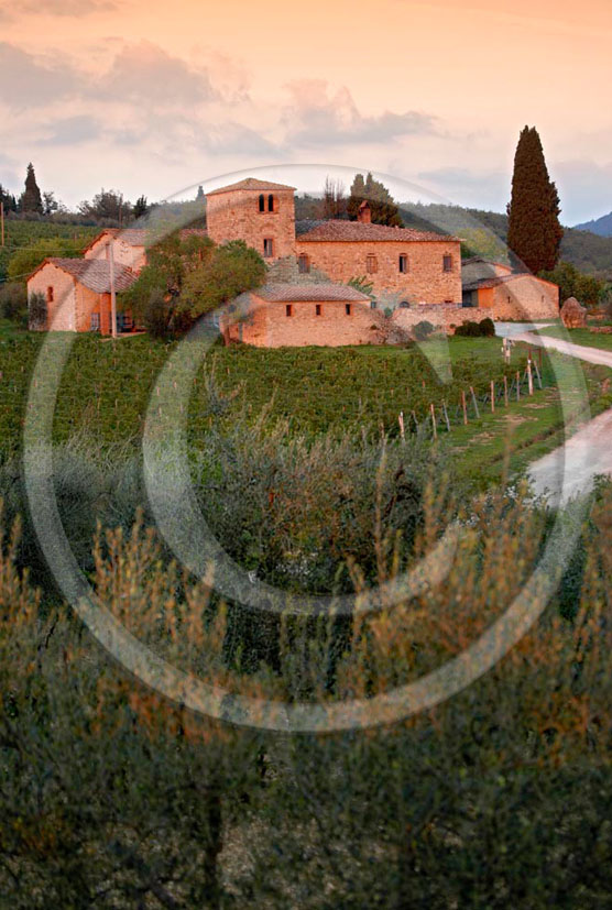 2005 - Landscapes of Marcellino farm and vineyards a bit before sunset in summer, near Monti in Chianti place, Chianti land, 27 miles south the province of Florence. 