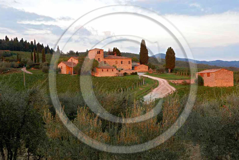 2005 - Landscapes of Marcellino farm and vineyards a bit before sunset in summer, near Monti in Chianti place, Chianti land, 27 miles south the province of Florence. 