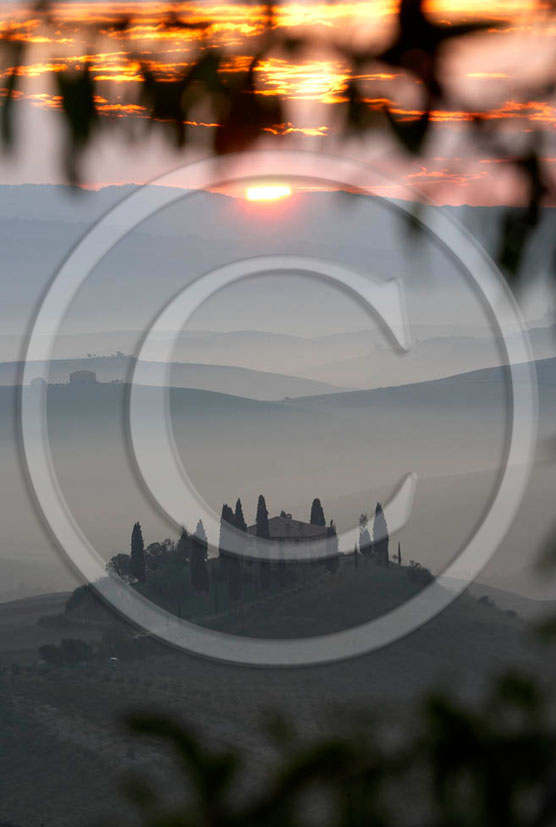 2005 - Landscapes of farm and cipress on sunrise in autumn, near S.Quirico village, 17 miles south province of Siena.