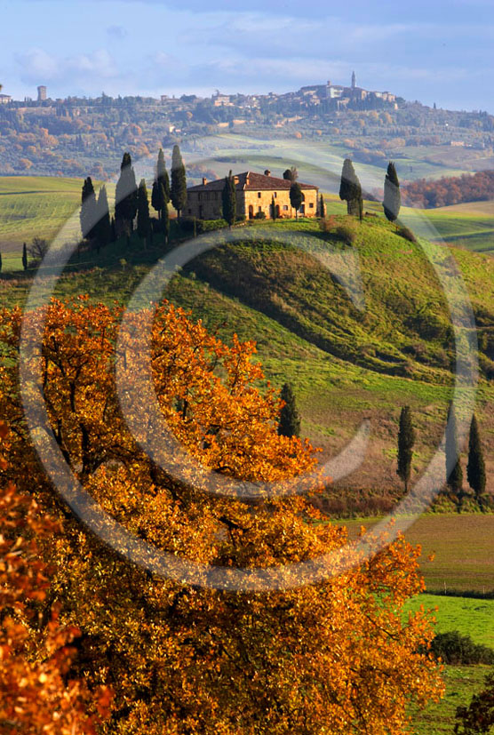 2005 - Landscapes of farm and cipress with Pienza medieval village in background on early morning in autumn, near S.Quirico village, 19 miles south province of Siena.