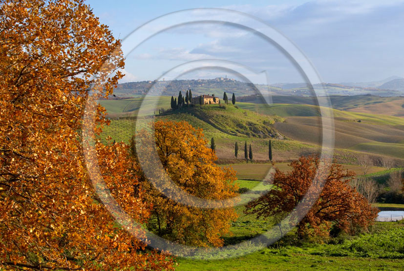 2005 - Landscapes of farm and cipress with Pienza medieval village in background on early morning in autumn, near S.Quirico village, 19 miles south province of Siena.