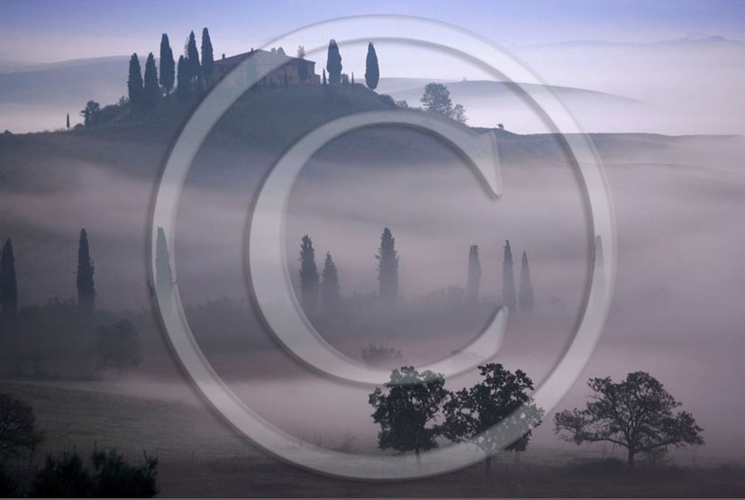 2006 - Landscapes of farm and cipress with fog on sunrise in winter, near S.Quirico village, 18 miles south province of Siena.