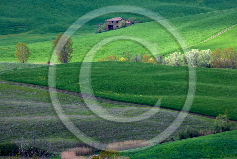 2006 - Landscapes of farm in field of bead on early morning in spring, near Pienza village, 22 miles south province of Siena.