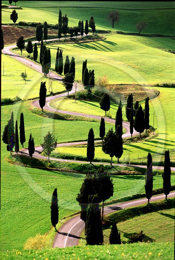 1999 - Landscapes of farm and cipress line on early morning in spring, near Monticchiello village, Orcia valley, 25 miles south the province of Siena.