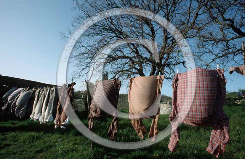 1998 - Linens drying in tuscany countryside.