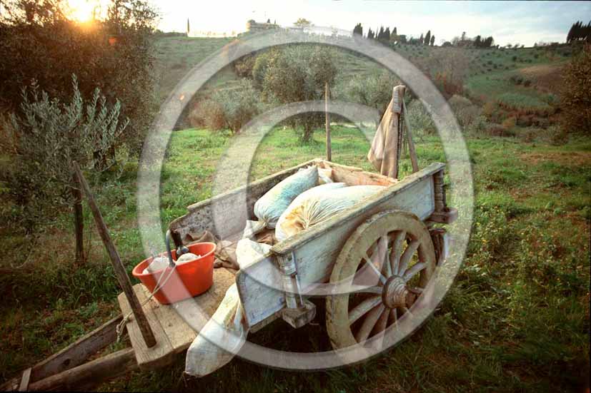 1998 - Old carriage for oil harvest in Chianti land.