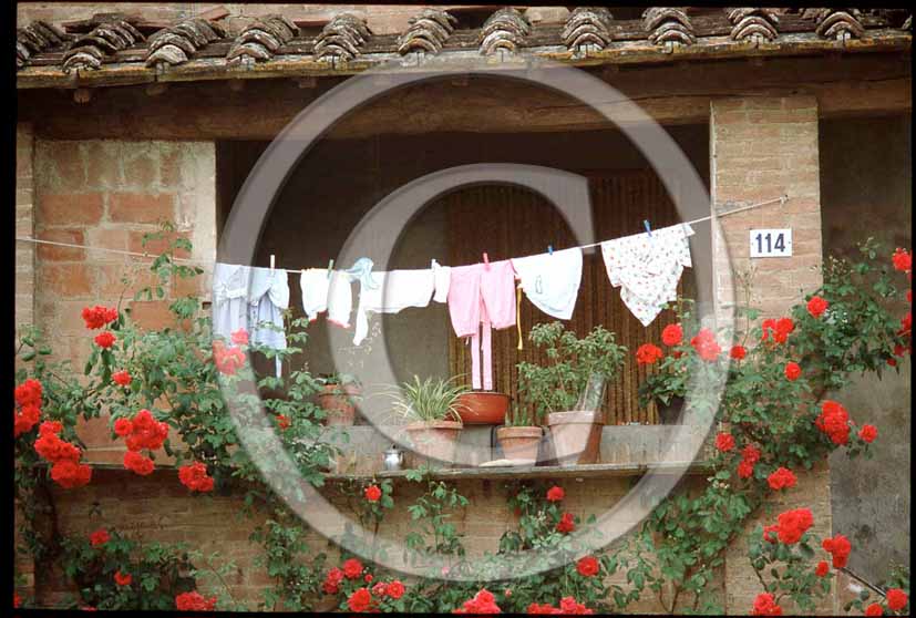 1987 - Lines drying in tuscany countryside.