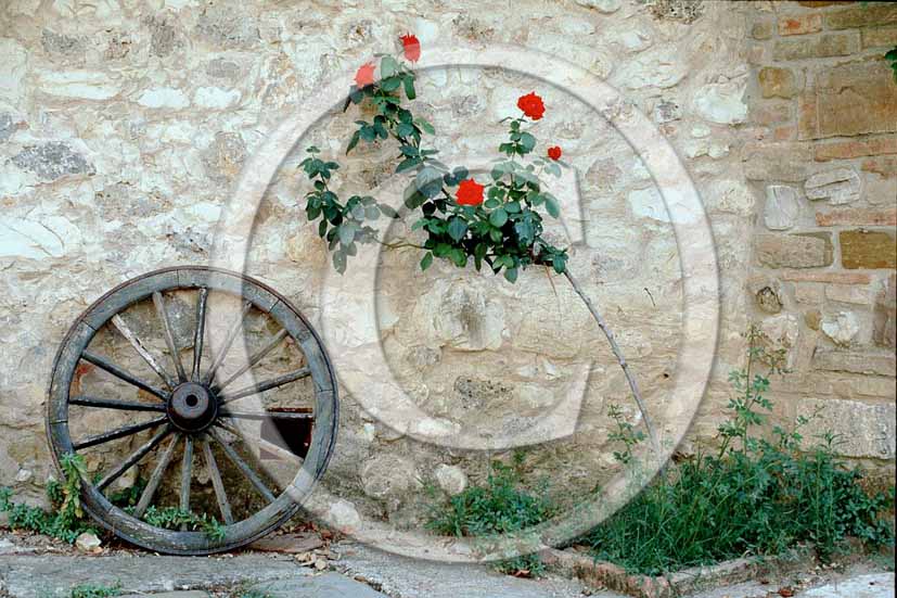 1985 - Old wheel of tuscany carriage.