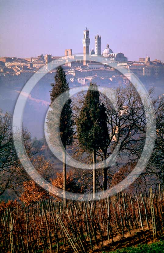 1990 - View of countryside around Siena village in autumn on sunrise, Crete Senesi.