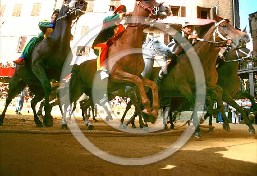 1992 - View of the start of the hourses for the traditional race of Palio of Siena.