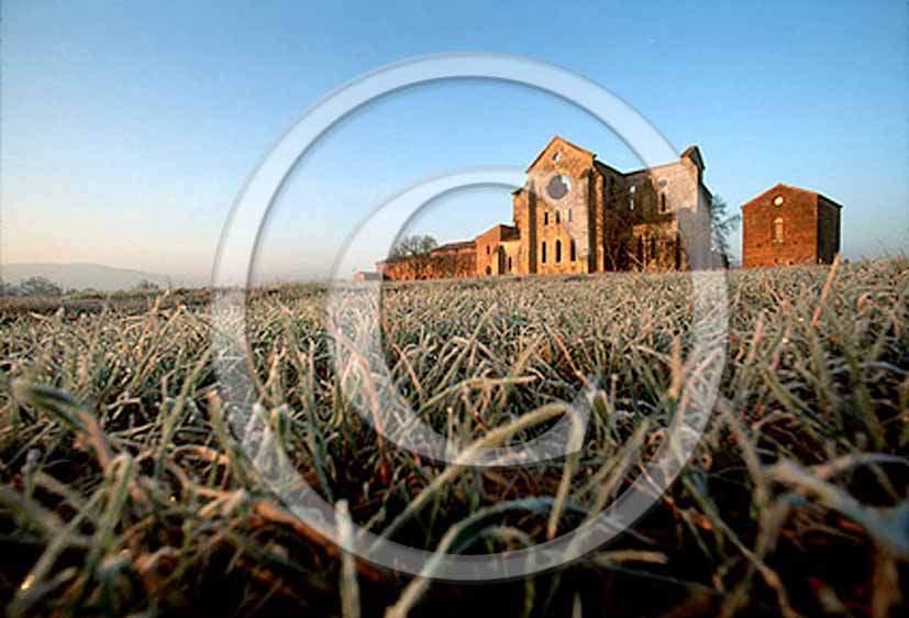 1996 - View of S.Galgano Abbay in early morning, Farma valley, near Monticiano village, 25 miles east the province of Siena.