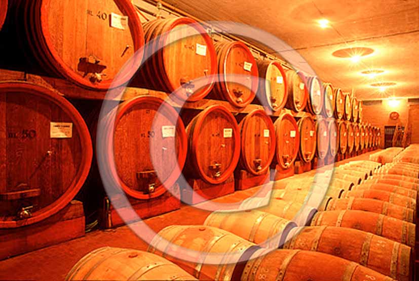 1992 - Traditional cellars with wine cask in Chianti land.