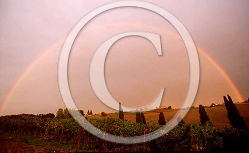 1999 - Vineyards and cipress with rainbow after thunderstorm in Chianti land.