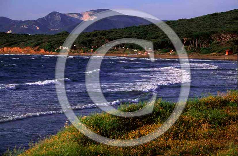 2004 - View of the beach of Baratti golf, Etruria valley, coast of Tirreno sea, near Piombino village,35 miles south the province of Leghorn. 