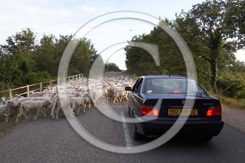 2005 - A road of the Natural Reserve Park, Oasi WWF, of Roccalbegna village, Maremma land, 30 miles south est the province of Grosseto.