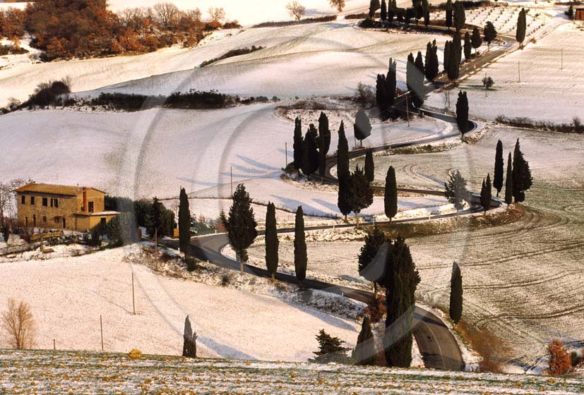 1999 - Landscapes of farm and cipress line with snow in winter, near Monticchiello village, Orcia valley, 25 miles south the province of Siena.