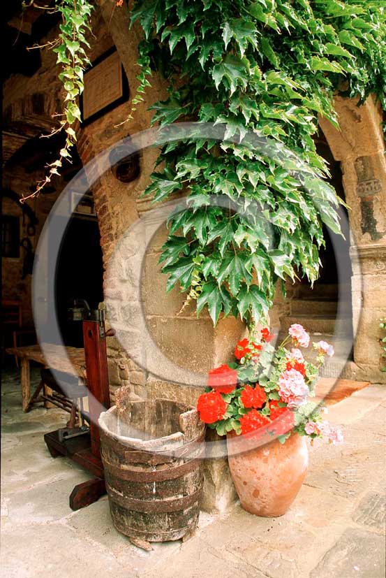 1991 - Flowers inside a private garden in tuscany farm.