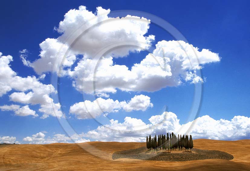 2001 - Landscapes of cipress with white clouds in summer, near S.Quirico village, Orcia valley, 14 miles south the province of Siena.