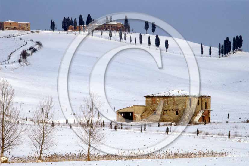 
<P align=center>1987 - Landscapes of Crete Senesi and farm under the snow in winter, Leonina place, near Taverne Arbia village, 10 miles south the province of Siena.</P>