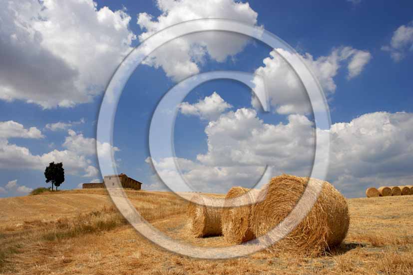 2006 - Landscapes of rolls of bead and farm in summer with white clouds in blue sky, Orcia Valley, near Pienza village 25 miles south the province of Siena.