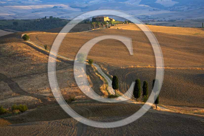 2006 - Landscapes of field of bead with cipress and farm in summer, Terrapile place, Orcia Valley, near Pienza village, 26 miles south the province of Siena.