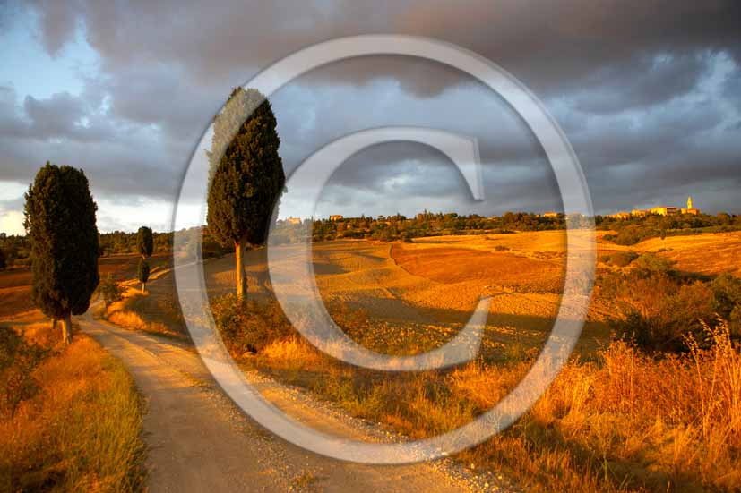 2006 - Landscapes with cipress in autumn on sunset a bit before thunderstorm, Terrapile place, Orcia Valley, near Pienza village in background, 26 miles south the province of Siena.