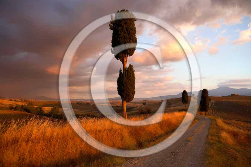 2006 - Landscapes with cipress in autumn on sunset with red clouds a bit before thunderstorm, Terrapile place, Orcia Valley, near Pienza village, 26 miles south the province of Siena