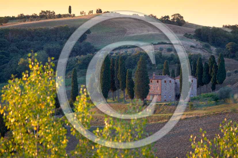 2006 - Landscapes with cipress and farm in autumn on sunrise, S.Ansano place, near Torrita village, Chiana Valley, 26 miles north east the province of Arezzo