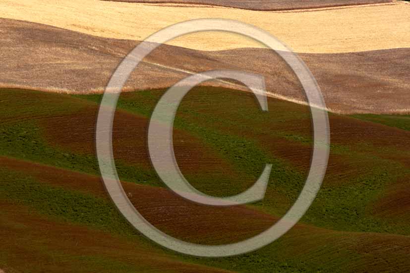 2006 - View of different land cultivations , Orcia Valley, near Pienza village, 26 miles south the province of Siena.