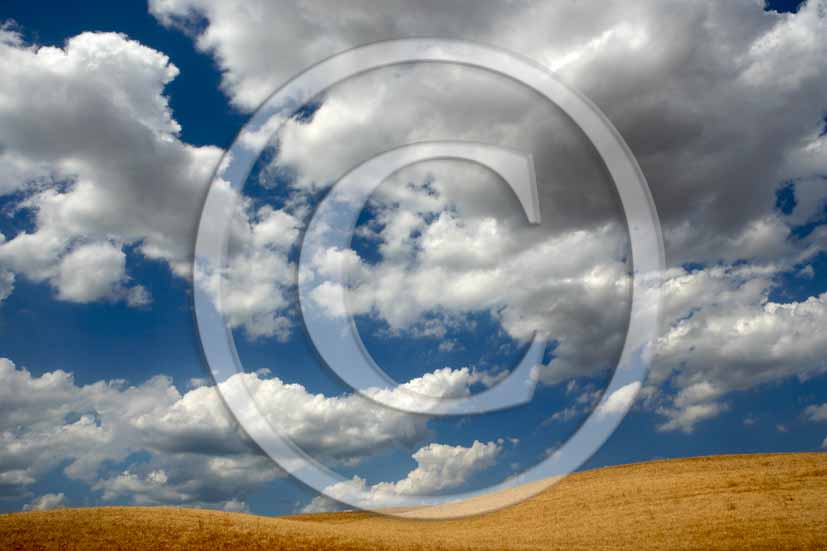 2006 - Landscapes of field of bead with white clouds in blue sky in summer, Crete Senesi land, nearTaverne Arbia village, 8 miles south the province of Siena.