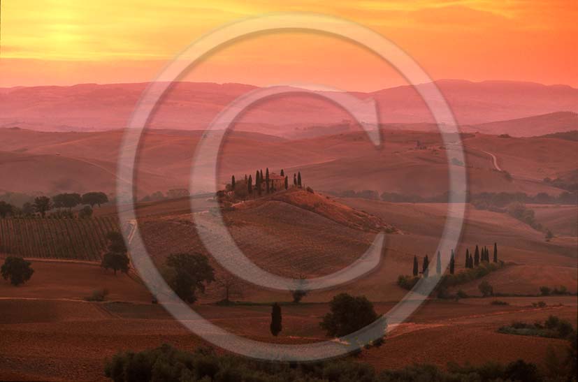 2002 - Landscapes of farm with cipress in field of bead a bit before sunrise in autumn, near S.Quirico village, 16 miles south the province of Siena.