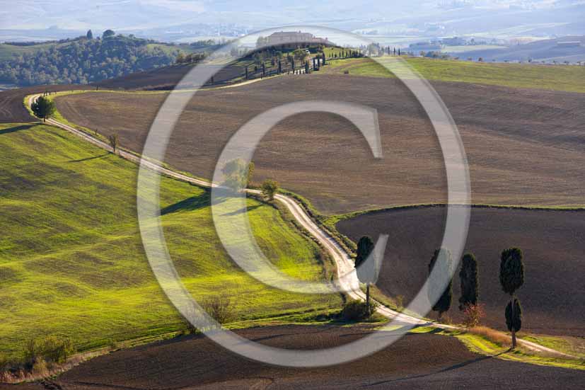  2006 - Landscapes of field of bead with cipress and farm in winter, Terrapile place, Orcia Valley, near Pienza village, 26 miles south the province of Siena.