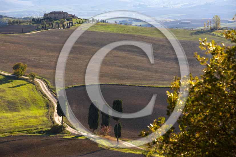  2006 - Landscapes of field of bead with cipress and farm in winter, Terrapile place, Orcia Valley, near Pienza village, 26 miles south the province of Siena.