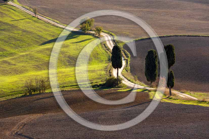  2006 - Landscapes of field of bead with cipress and farm in winter, Terrapile place, Orcia Valley, near Pienza village, 26 miles south the province of Siena.