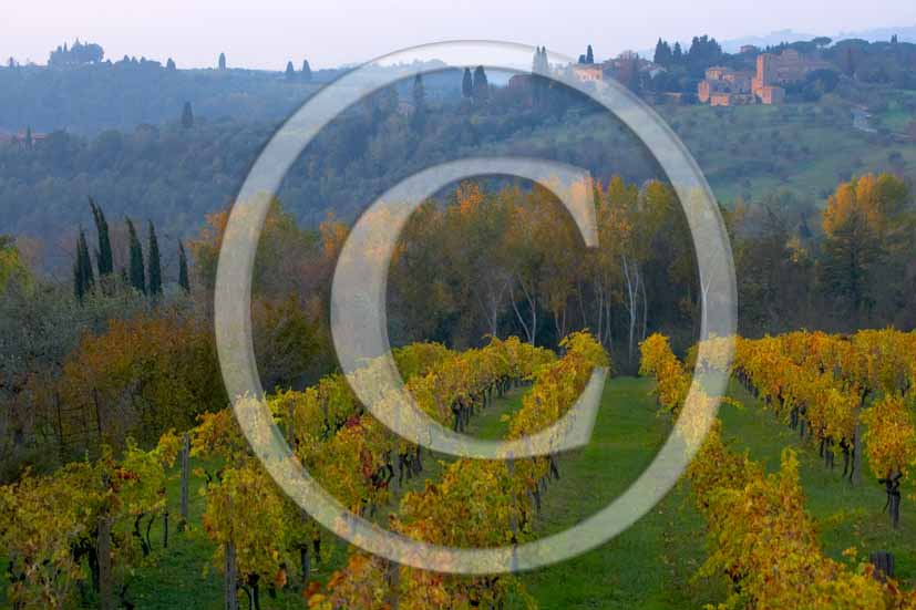 2006 - Landscapes of yellow vineyards in autumn in later afternoon with Petrognano di Semifonte medieval village in background, near Barberino Val Elsa, Chianti valley, 15 miles south the province of Florence.