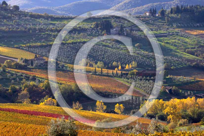 2006 - Landscapes of yellow and red vineyards and farm in autumn on early, near Panzano, Chianti valley, 23 miles south the province of Florence.